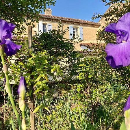 Le Petit Cochon Bed & Breakfast Valence-sur-Baïse Dış mekan fotoğraf
