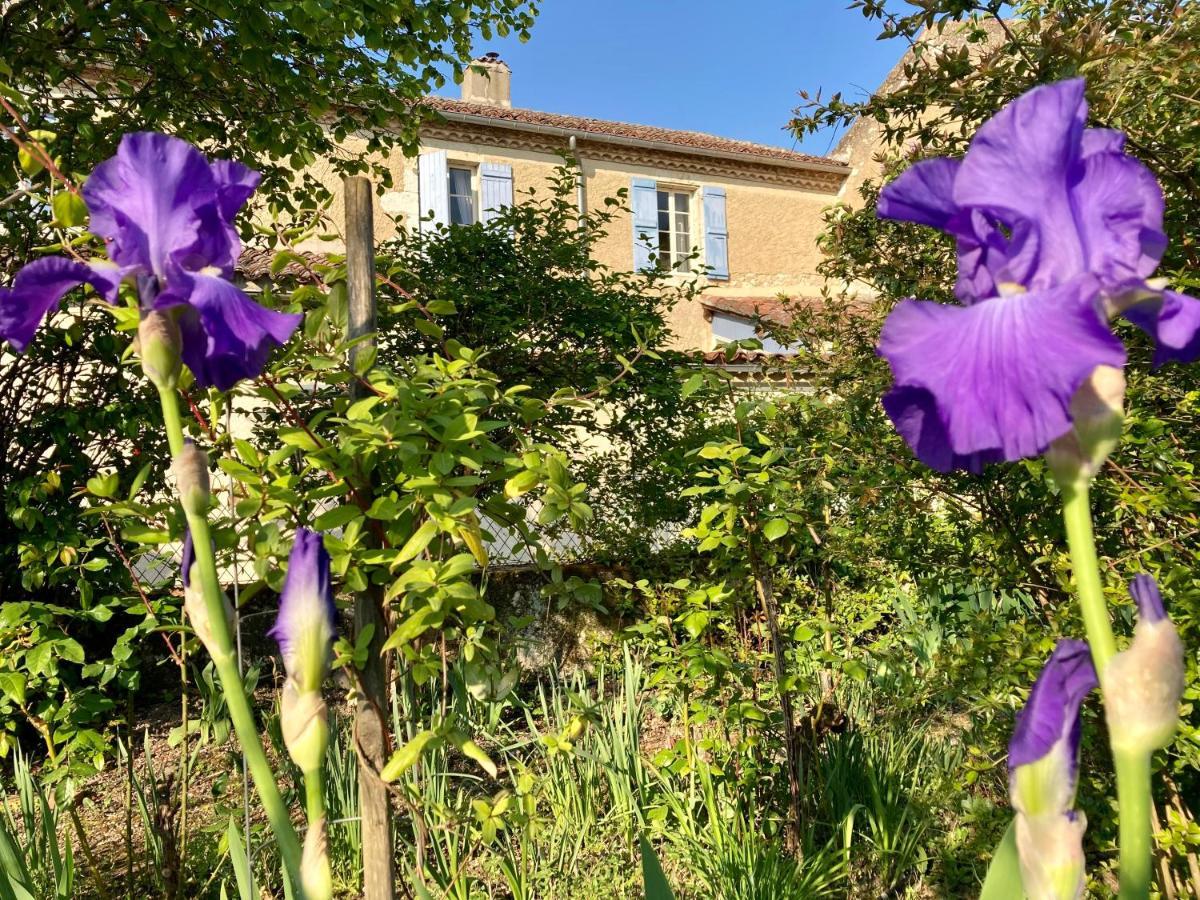 Le Petit Cochon Bed & Breakfast Valence-sur-Baïse Dış mekan fotoğraf