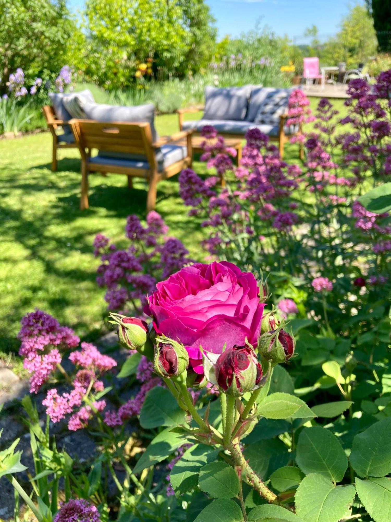 Le Petit Cochon Bed & Breakfast Valence-sur-Baïse Dış mekan fotoğraf